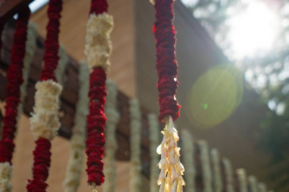 Taj Aravali, Udaipur