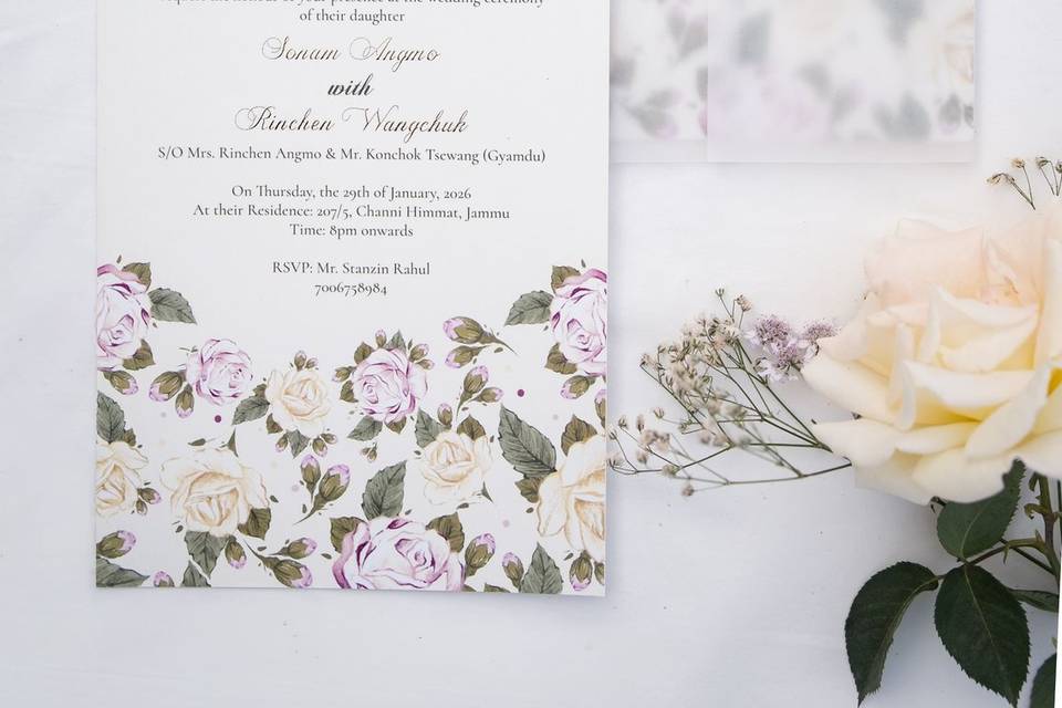 Paper Baag Company portfolio