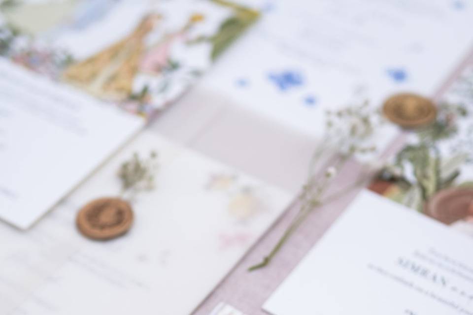 Paper Baag Company portfolio