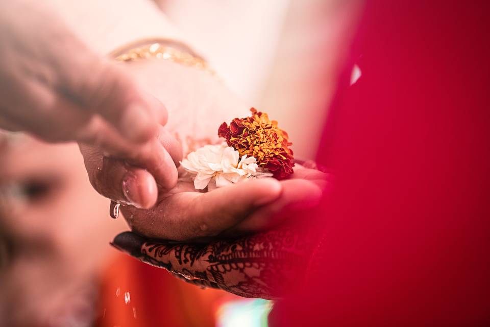 Wedding