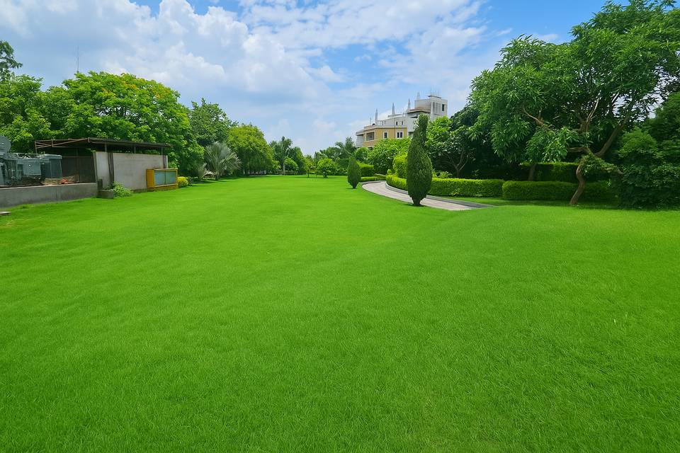 Lawn area