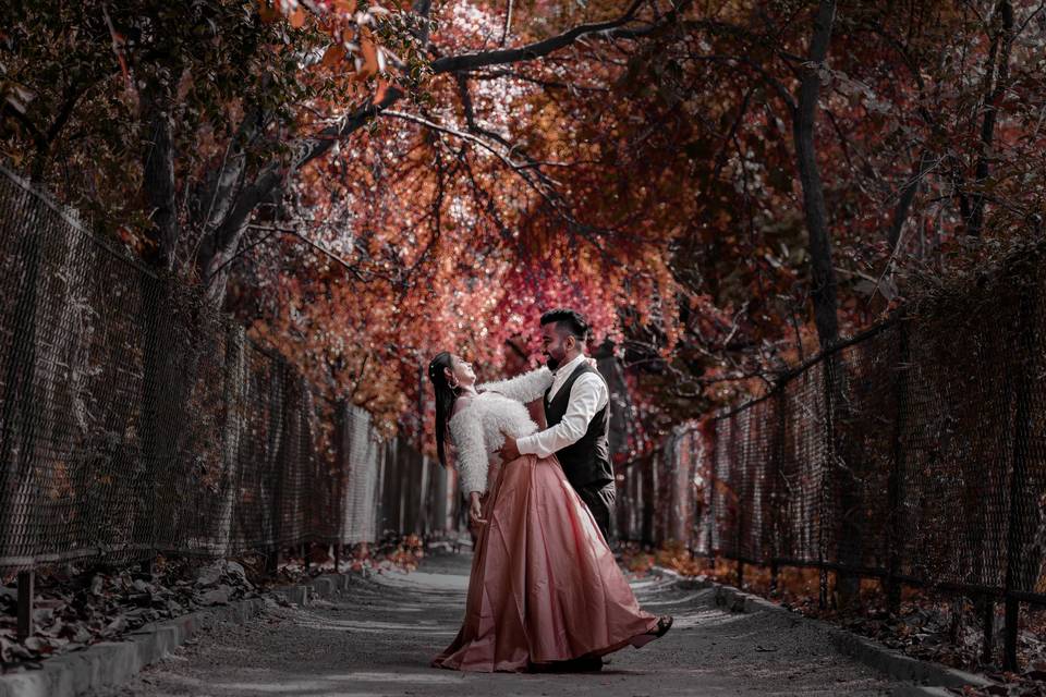 Best Pre wedding Photographers