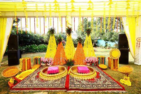 Haldi setup