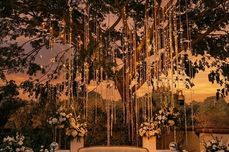 Decor