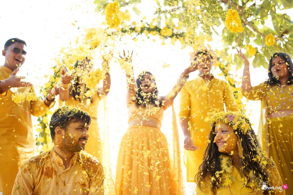 HALDI
