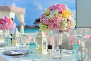 Green Events, Indore
