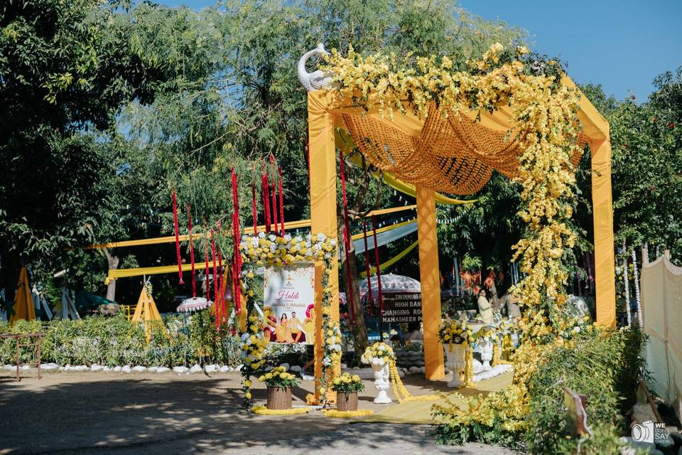 Decor