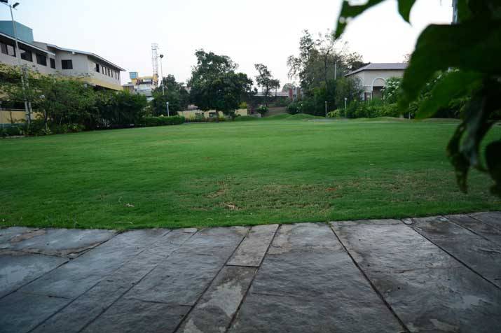 Haldi Lawns