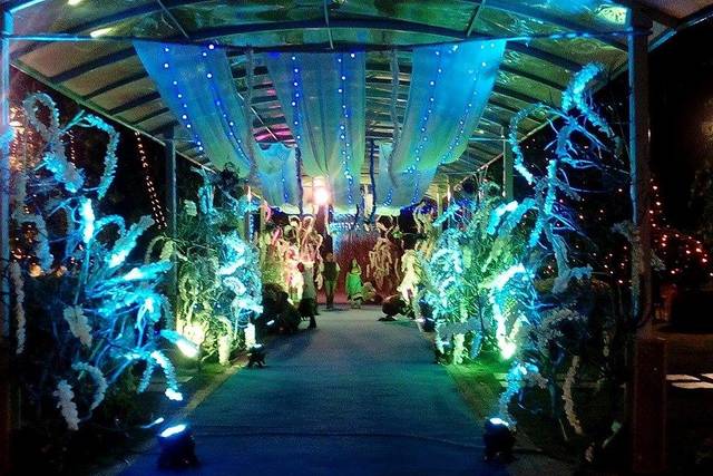 Live sharks events and entertainment