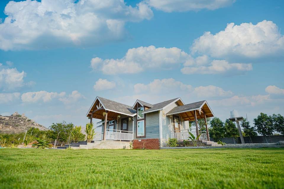 Lawn area
