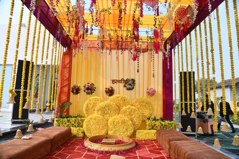 HALDI