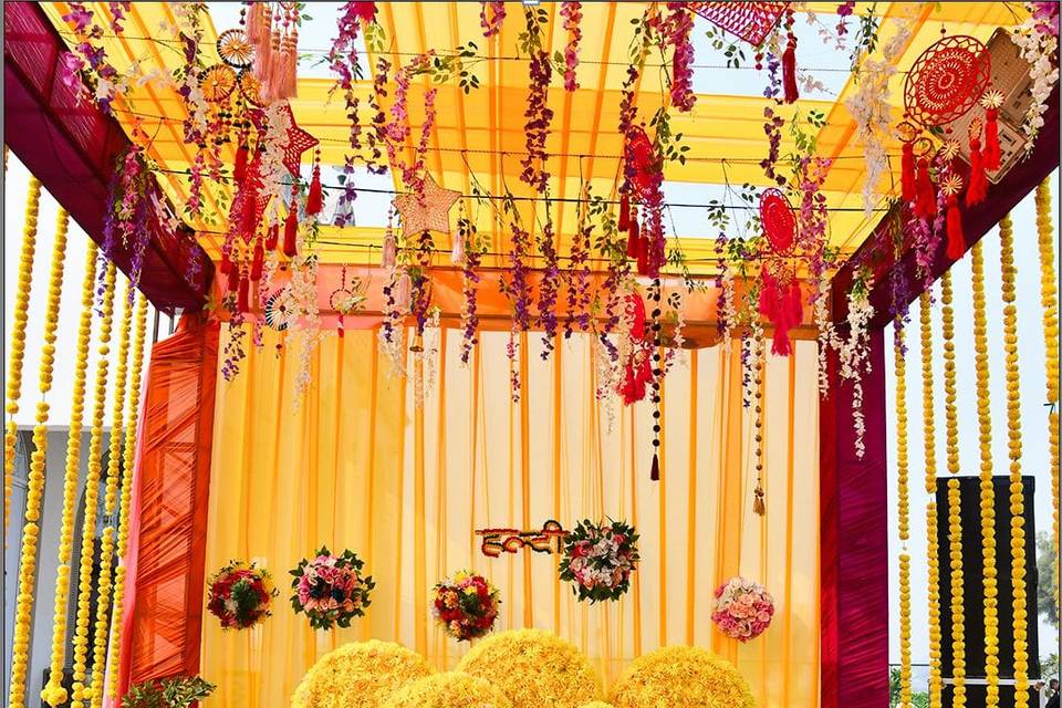 HALDI