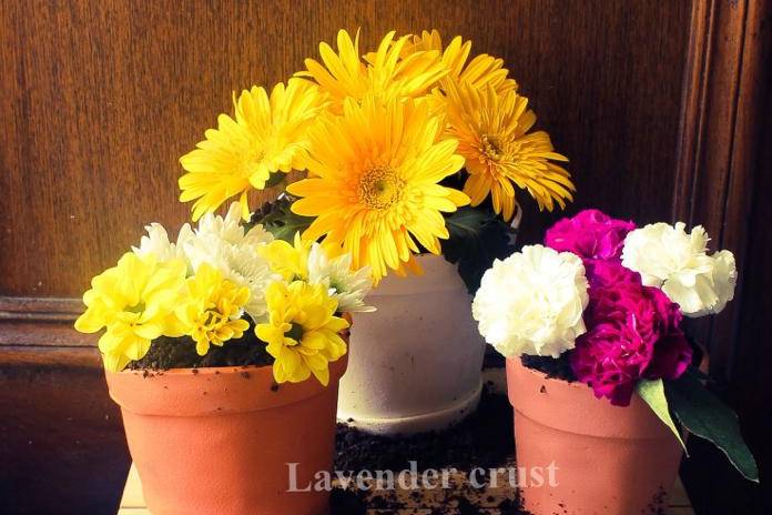 Flower pot cakes