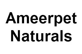 Ameerpet Naturals