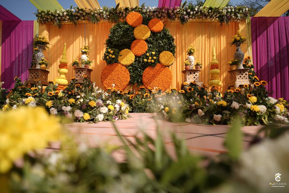 Haldi Decor