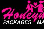 Manali Honeymoon Packages Logo