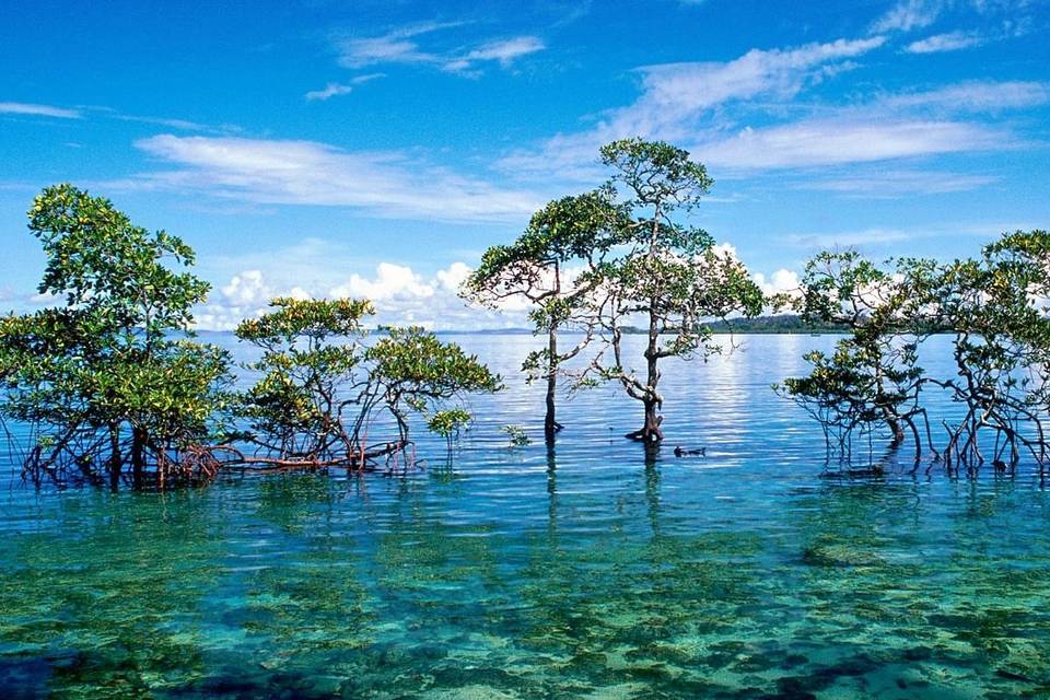 Andaman & Nicobar islands