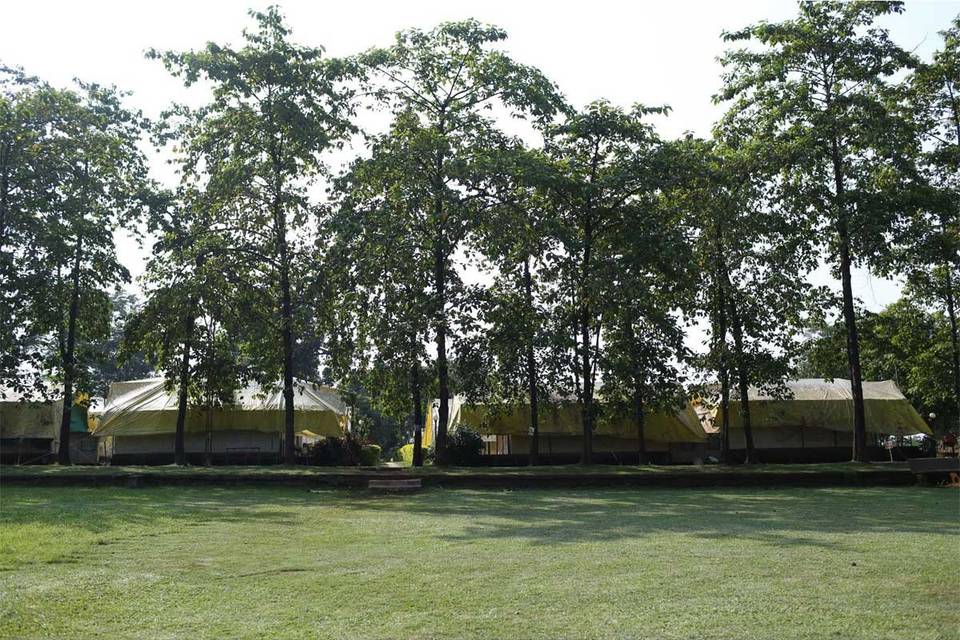 Lawn Area