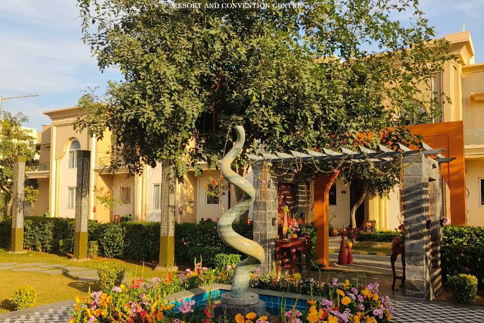 The Paradise Pool Lawm