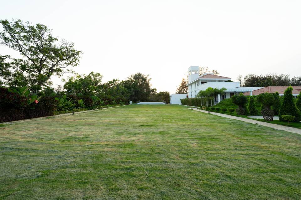 Lawn area