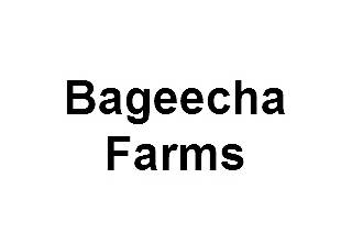 Bageecha Farms