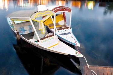 Special cruises