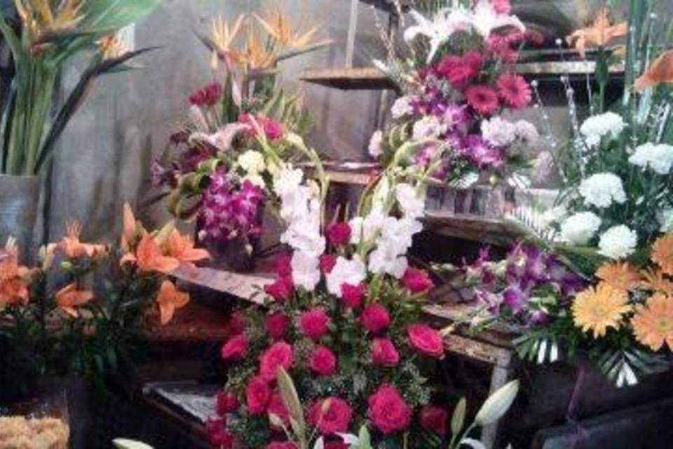 Shiv-Shambhoo Florist Juhu