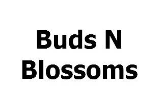 Buds N Blossoms