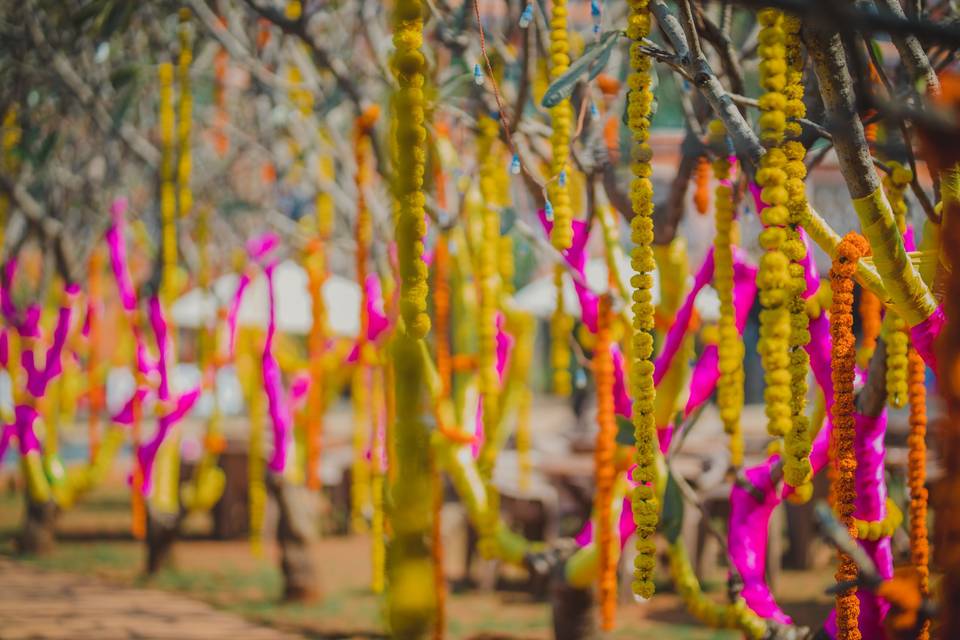 Haldi decor