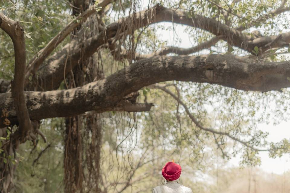 Punjabi Wedding