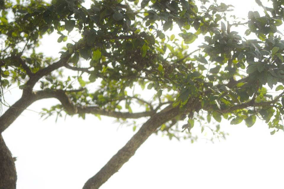 Pre-Wedding Satara