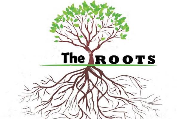 The Roots Products