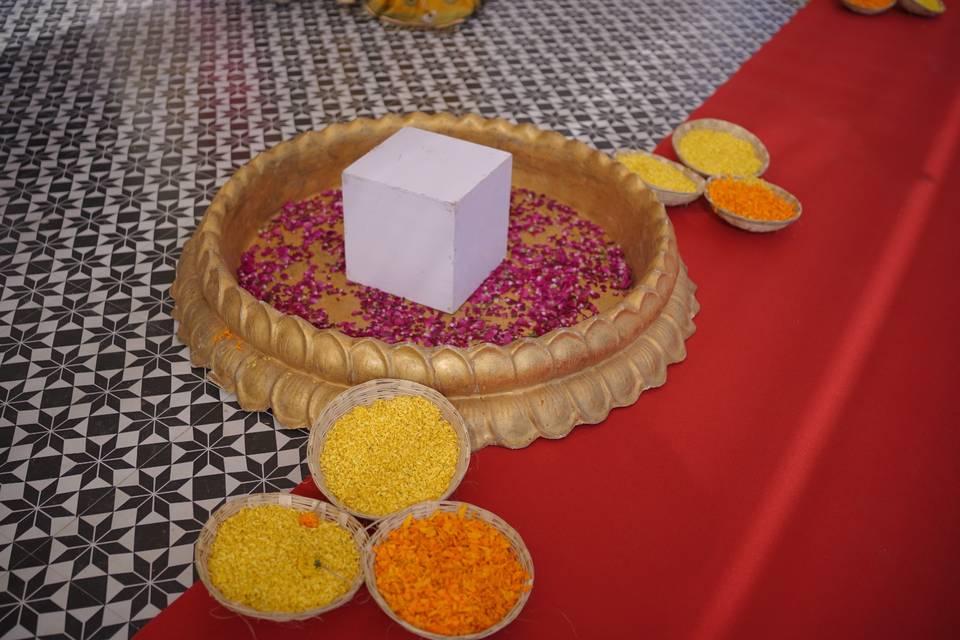 Aditya & Yamini Haldi