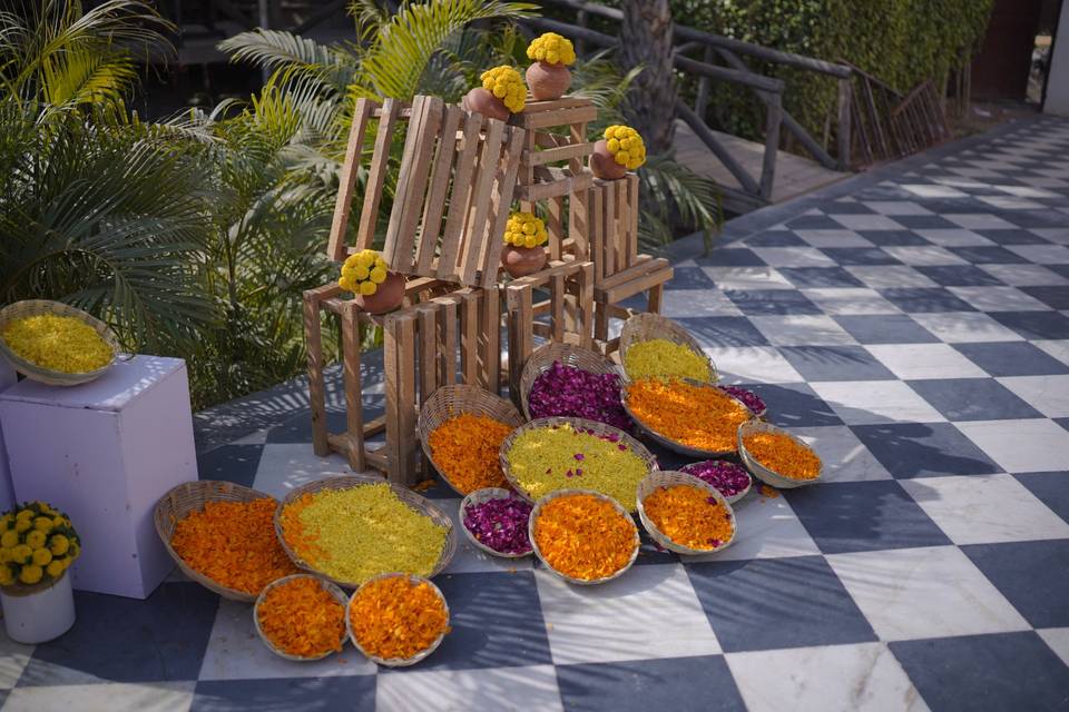 Aditya & Yamini Haldi