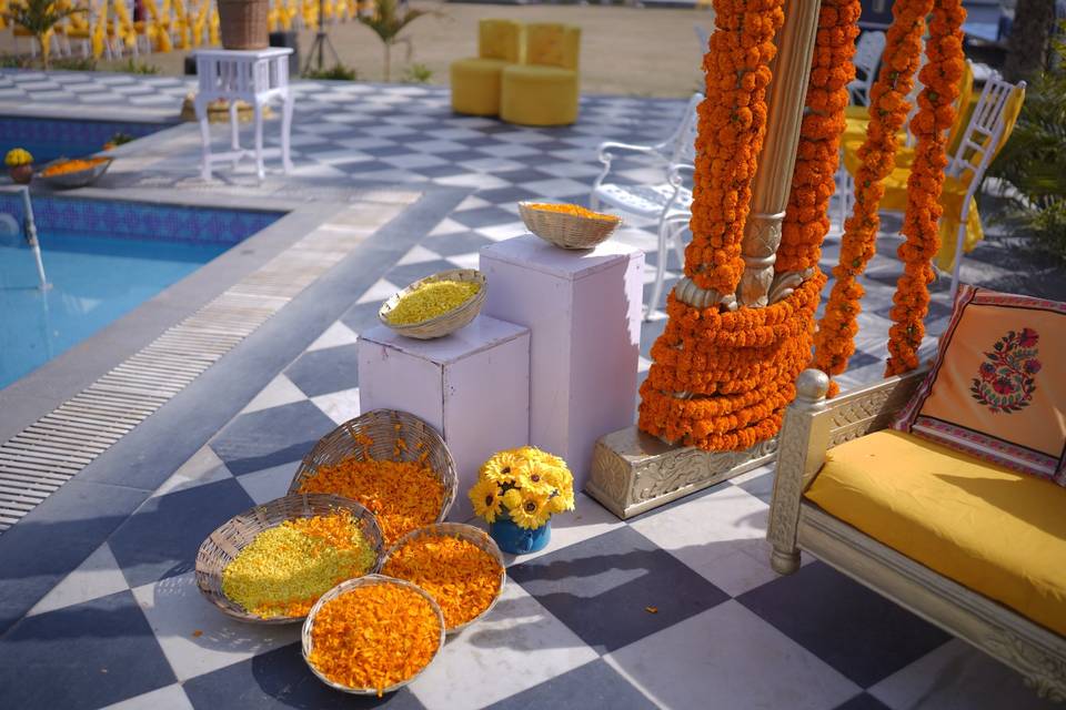 Aditya & Yamini Haldi