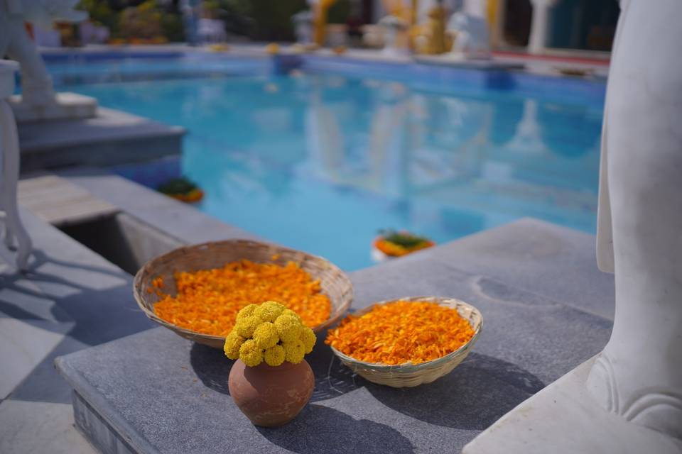 Aditya & Yamini Haldi