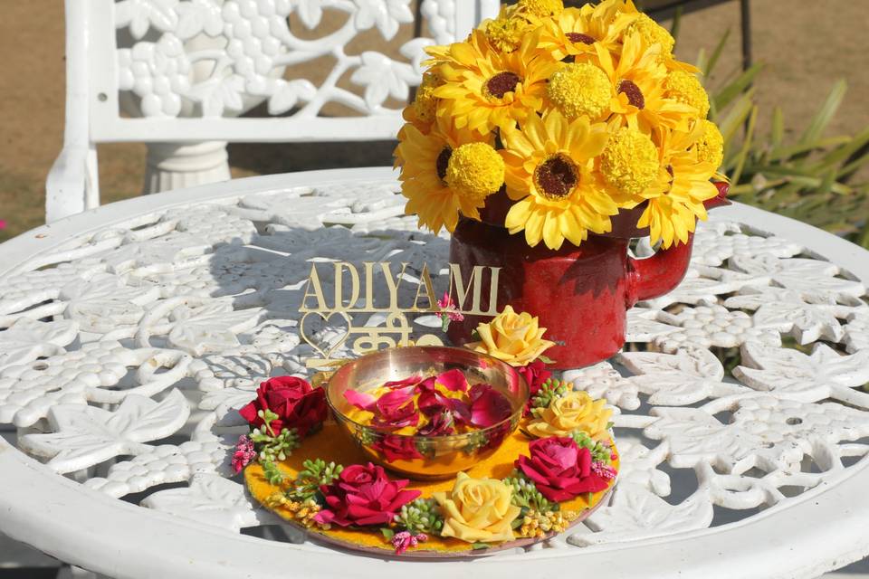 Aditya & Yamini Haldi