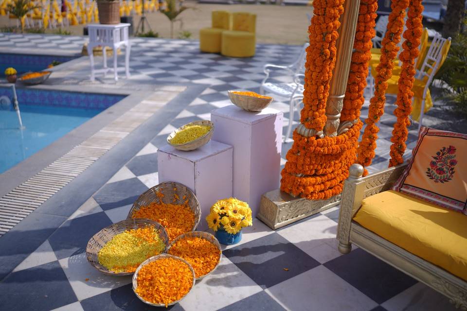 Aditya & Yamini Haldi