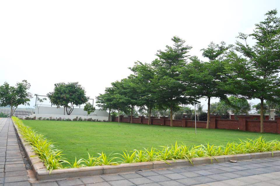 Lawn area