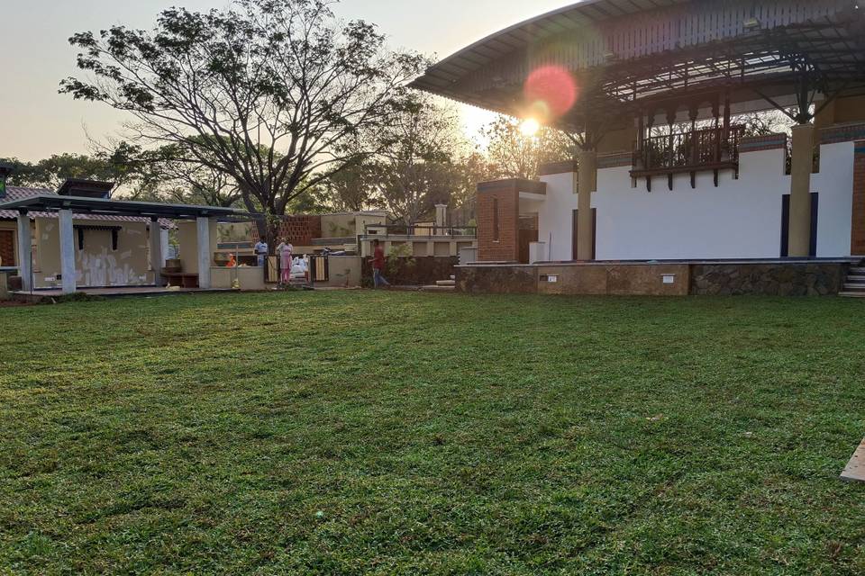 Open Lawn