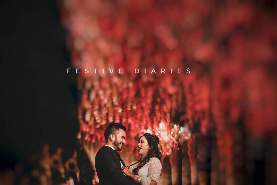 Festive Diaries