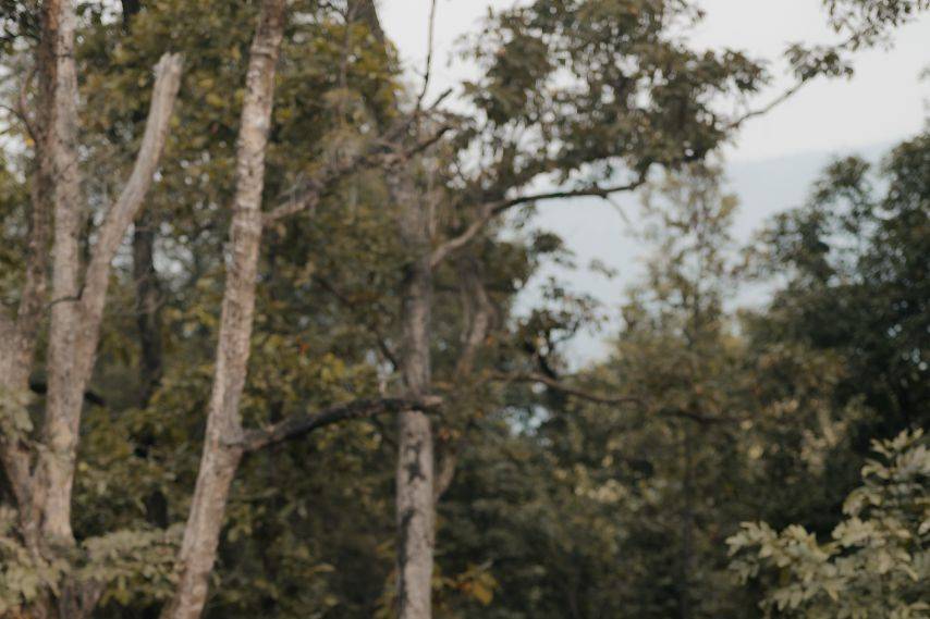 Outdoor pre-wedding portrait -