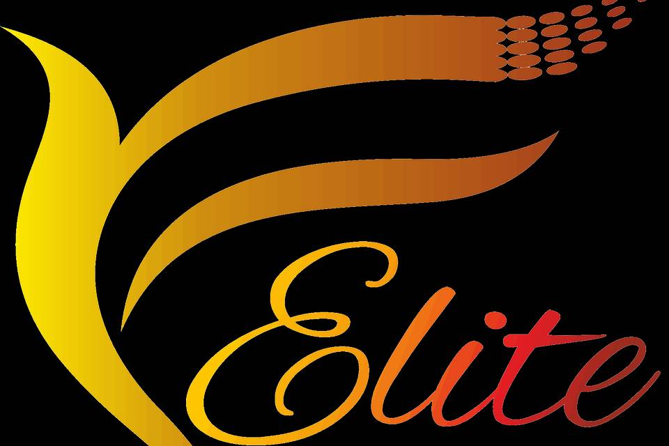 Elite weddings india logo