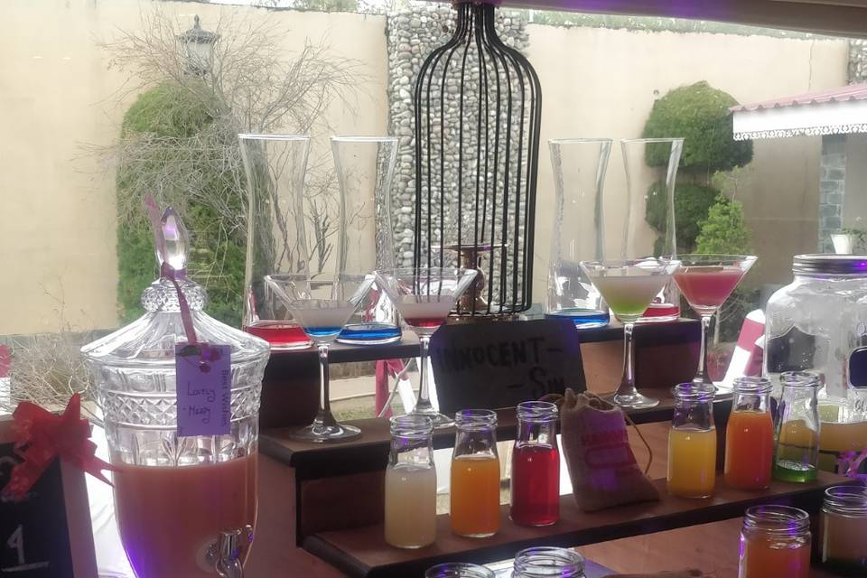 RS Sarovar Portico, Palampur