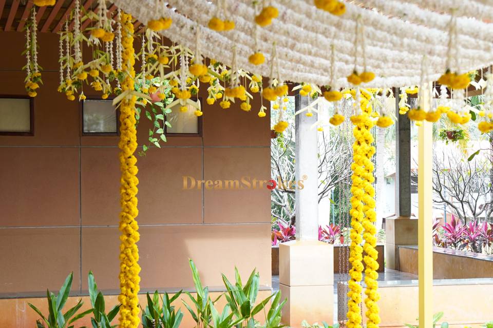 Dreamstrokes Decor