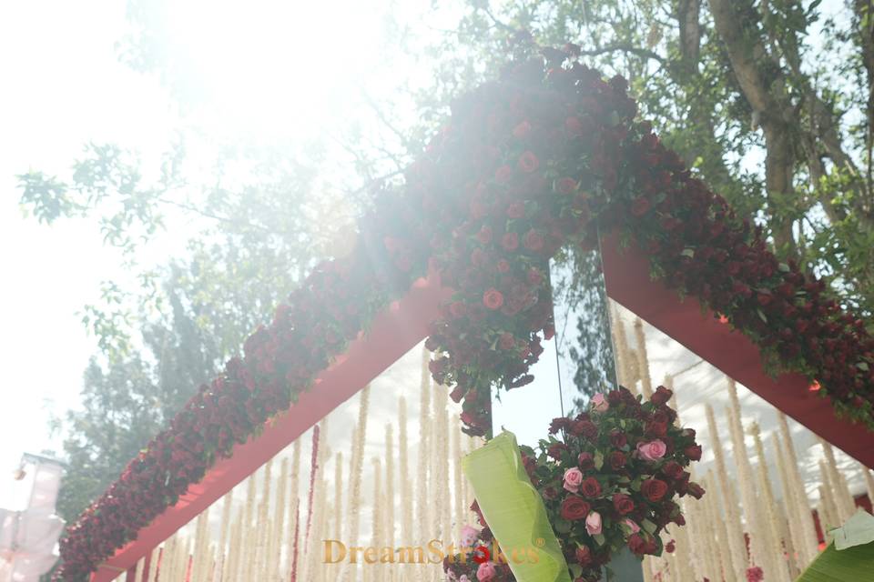 Dreamstrokes Decor