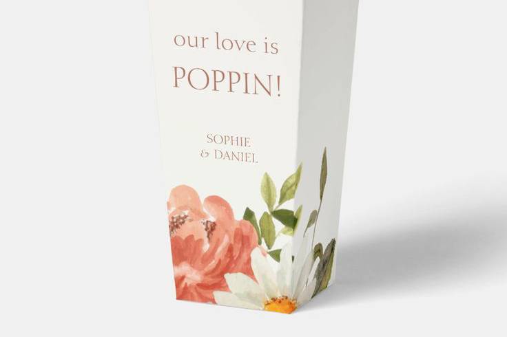 Popcorn Favor Boxes