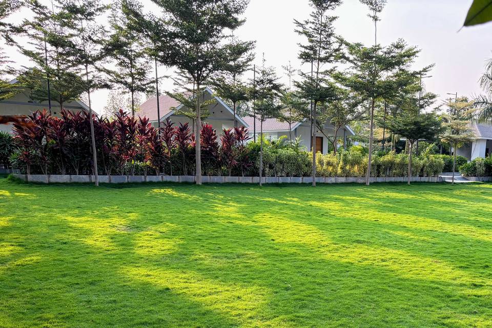 Lawn area