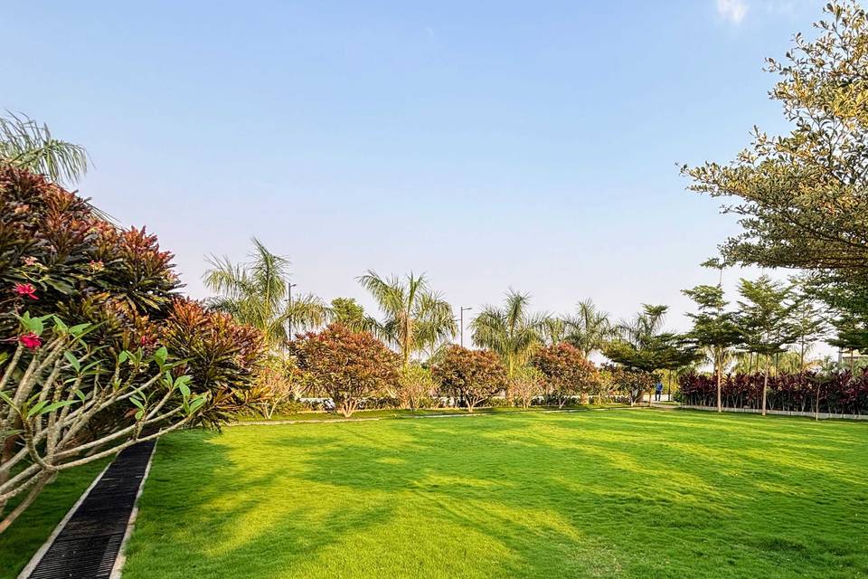 Lawn area