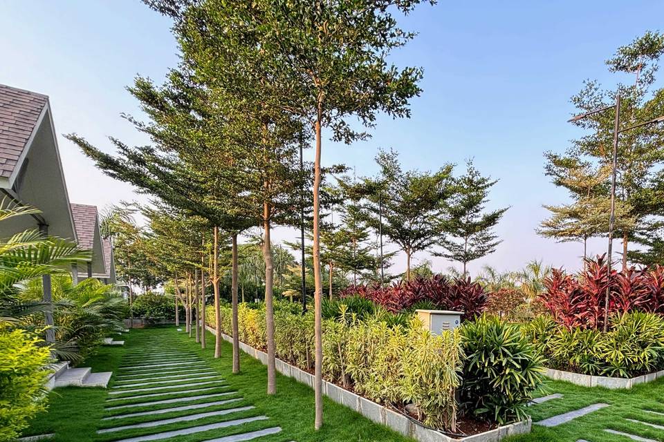 Lawn area